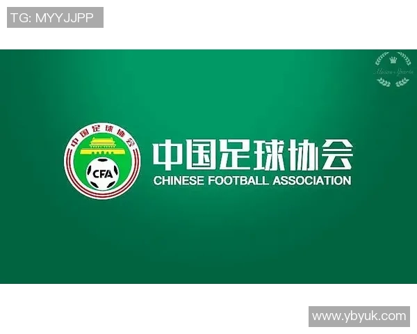 多联赛数据汇总分析与趋势探讨助力体育决策与投资策略优化